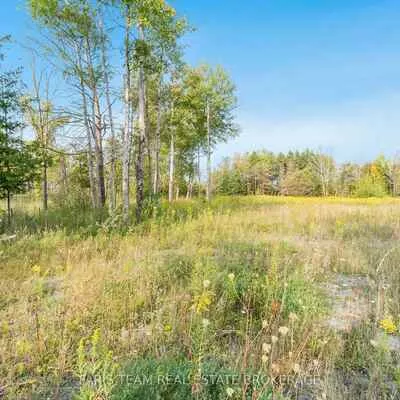 3152, Davis, Rural East Gwillimbury, East Gwillimbury