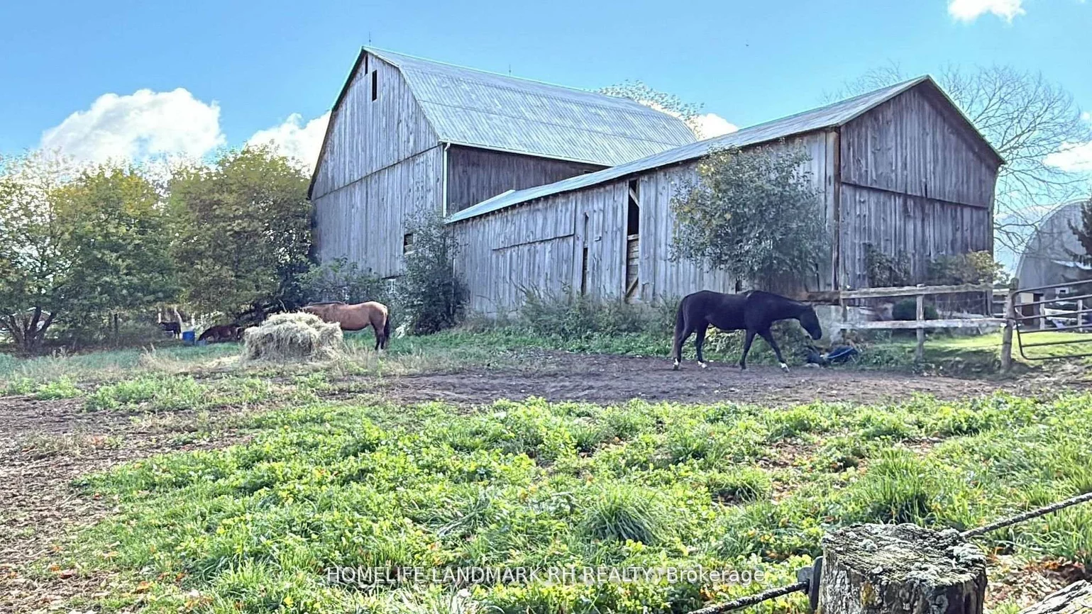 5031, Herald, Mt Albert, East Gwillimbury