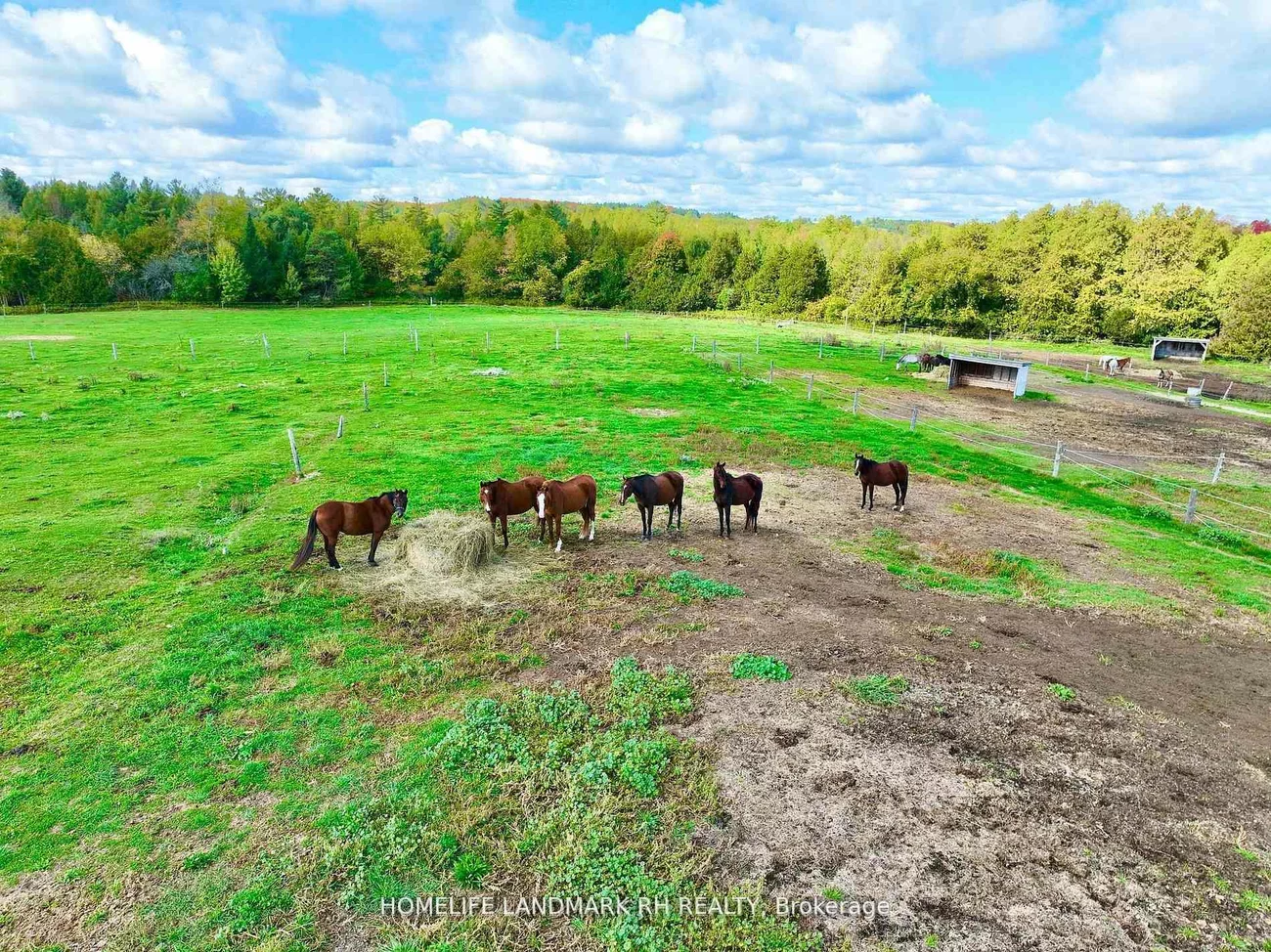 5031, Herald, Mt Albert, East Gwillimbury