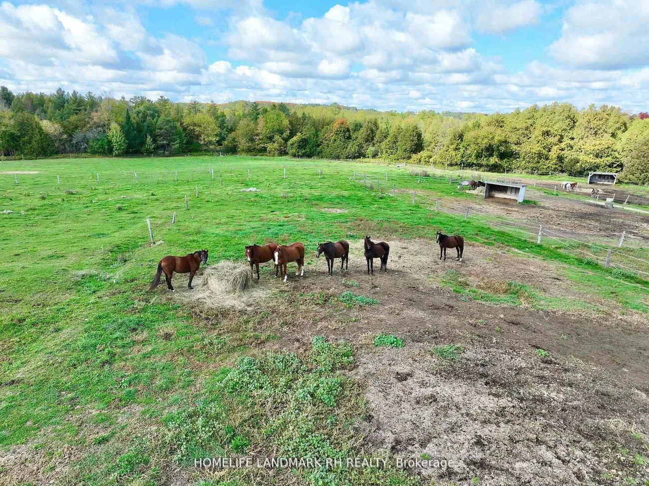 5031, Herald, Mt Albert, East Gwillimbury