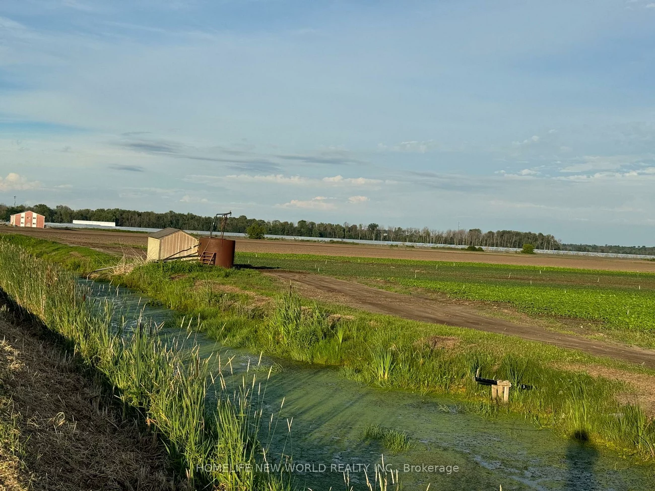 571, Ravenshoe, Queensville, East Gwillimbury