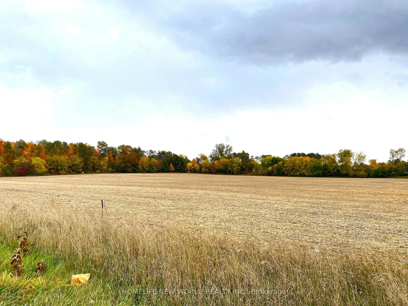 571, Ravenshoe, Queensville, East Gwillimbury