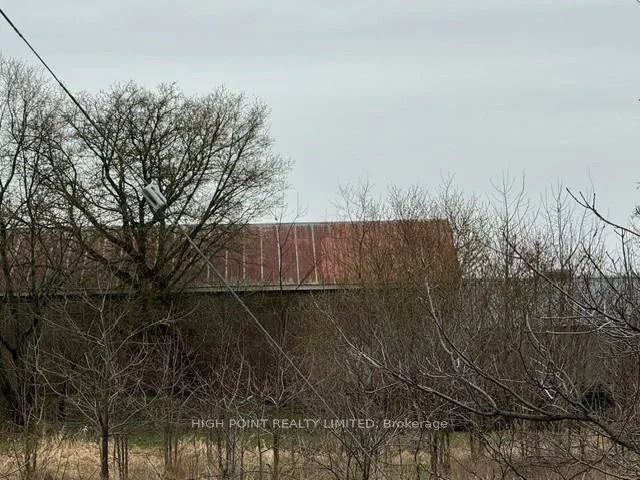 4219, Mt Albert, Rural East Gwillimbury, East Gwillimbury