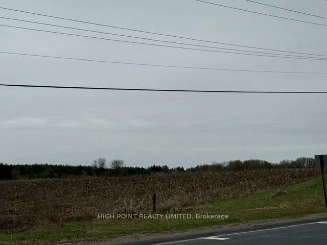 4219, Mt Albert, Rural East Gwillimbury, East Gwillimbury