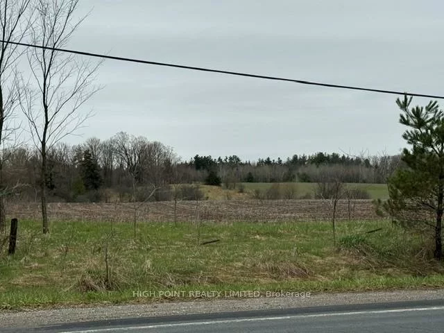 4219, Mt Albert, Rural East Gwillimbury, East Gwillimbury