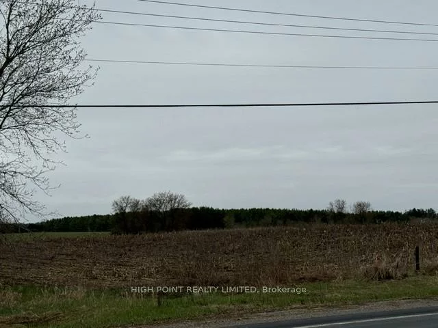 4219, Mt Albert, Rural East Gwillimbury, East Gwillimbury