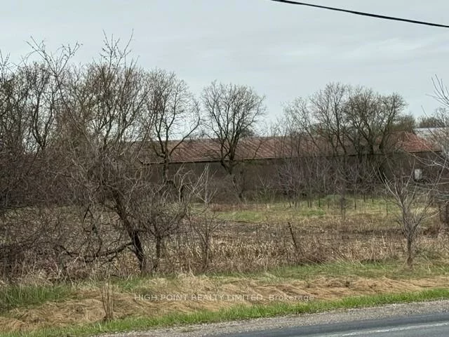 4219, Mt Albert, Rural East Gwillimbury, East Gwillimbury