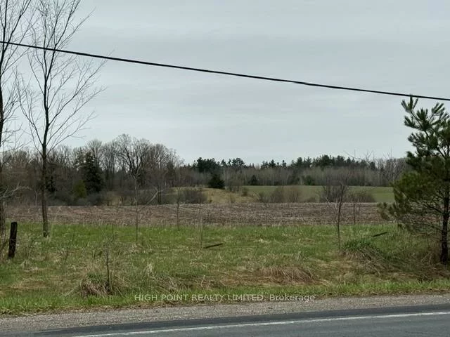 4219, Mt Albert, Rural East Gwillimbury, East Gwillimbury