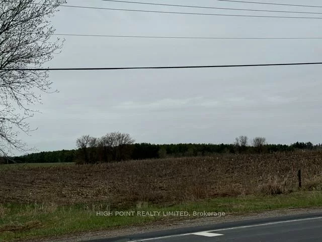4219, Mt Albert, Rural East Gwillimbury, East Gwillimbury