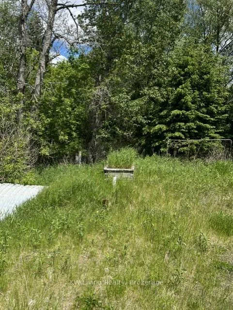 20273, Highway 48, Rural East Gwillimbury, East Gwillimbury