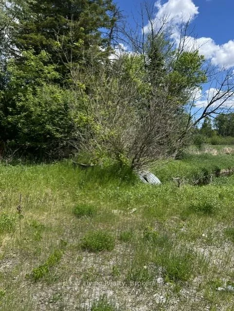 20273, Highway 48, Rural East Gwillimbury, East Gwillimbury