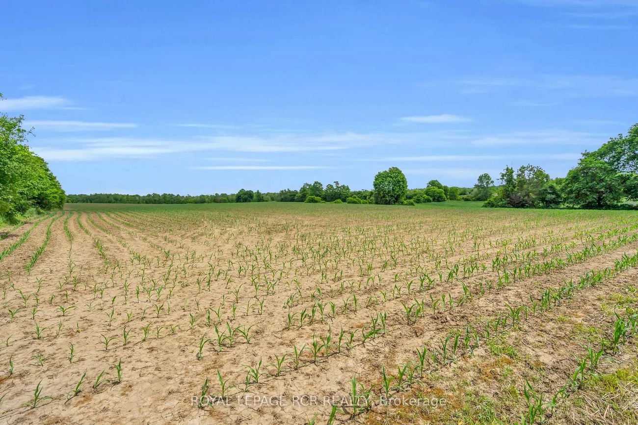 20893, Woodbine, Rural East Gwillimbury, East Gwillimbury
