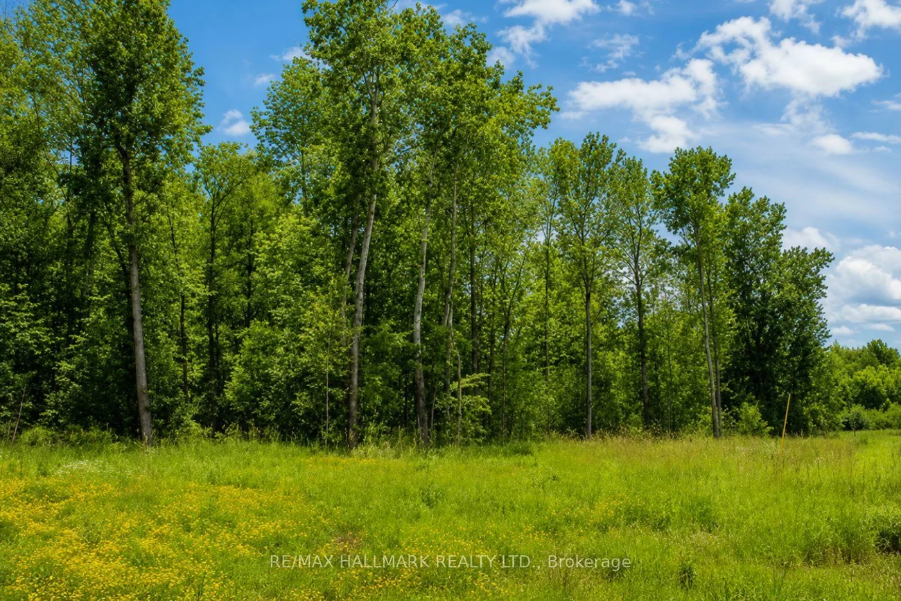 21576, Mccowan, Rural East Gwillimbury, East Gwillimbury