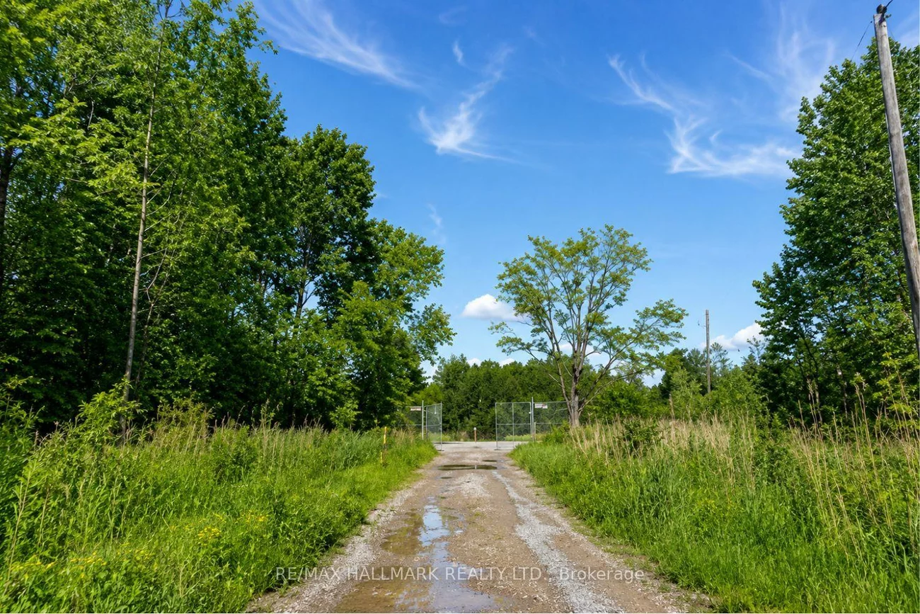 21576, Mccowan, Rural East Gwillimbury, East Gwillimbury