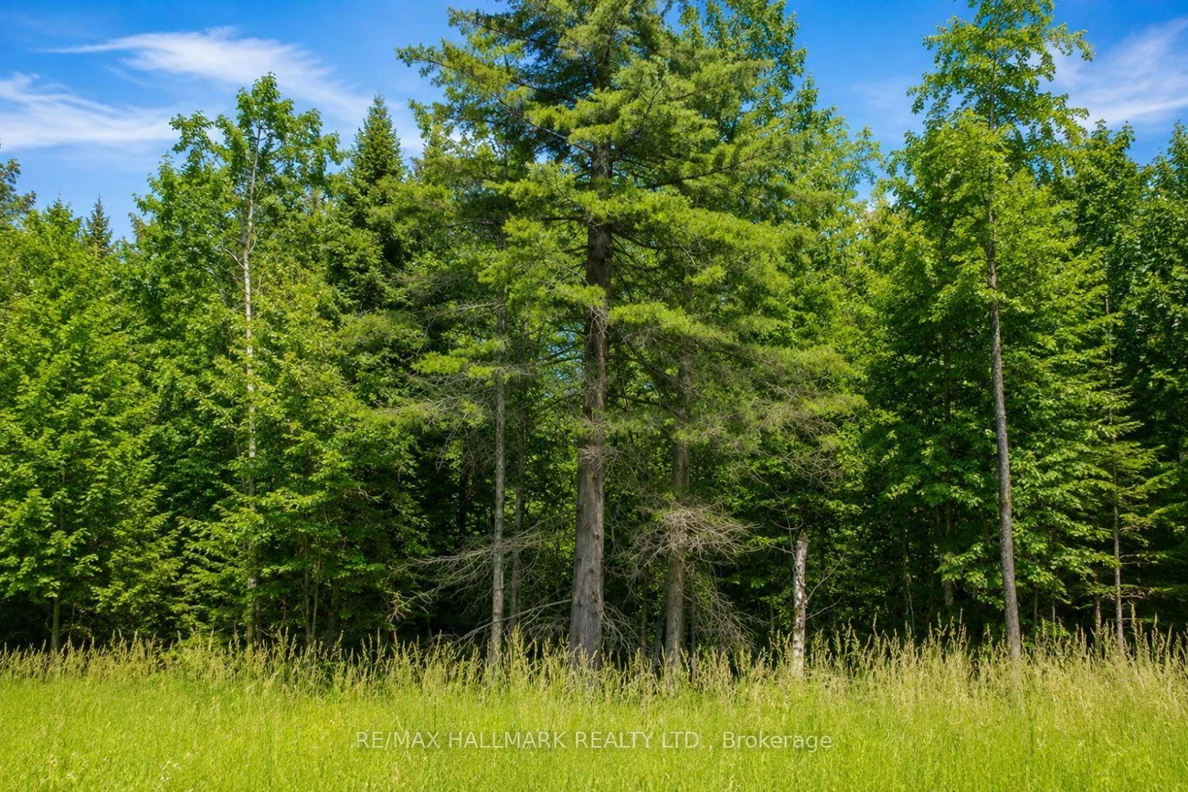 21576, Mccowan, Rural East Gwillimbury, East Gwillimbury