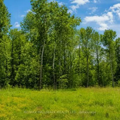 21576, Mccowan, Rural East Gwillimbury, East Gwillimbury