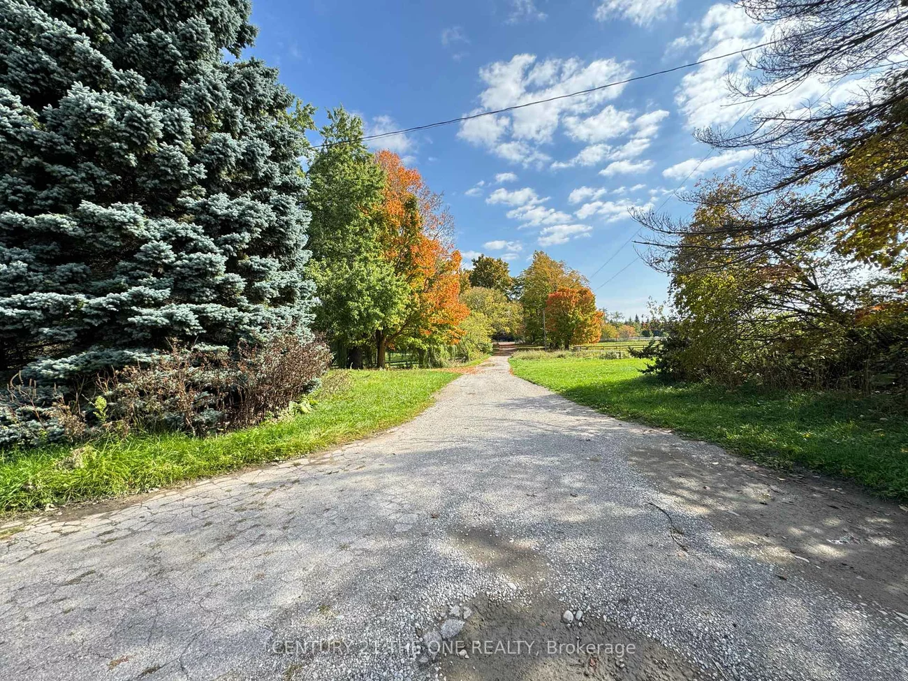 5828, Yonge, Rural Innisfil, Innisfil
