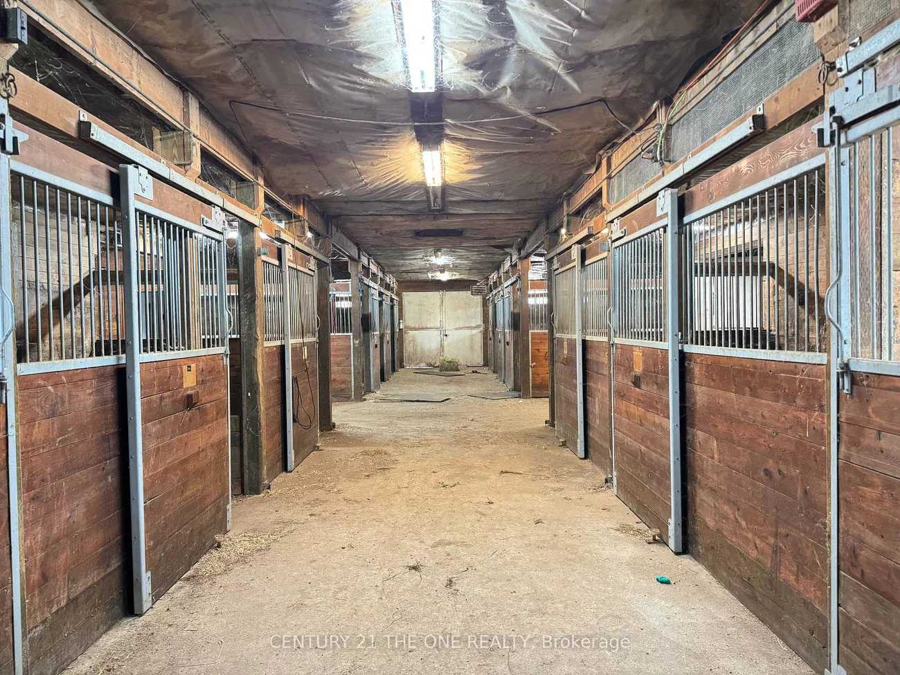 5828, Yonge, Rural Innisfil, Innisfil