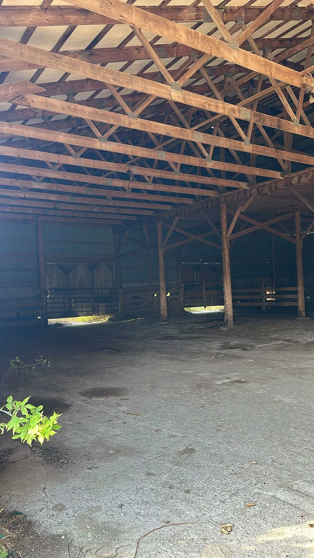 7076, 5th side, Rural Innisfil, Innisfil