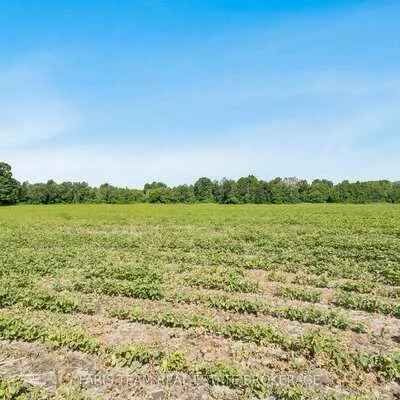 4065, 15th, Rural Innisfil, Innisfil