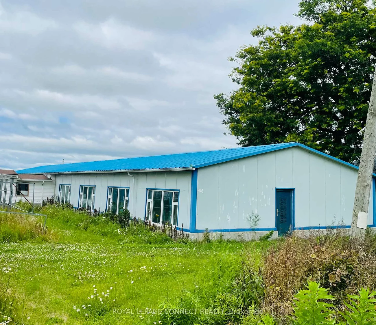 19470, Dufferin, Rural King, King