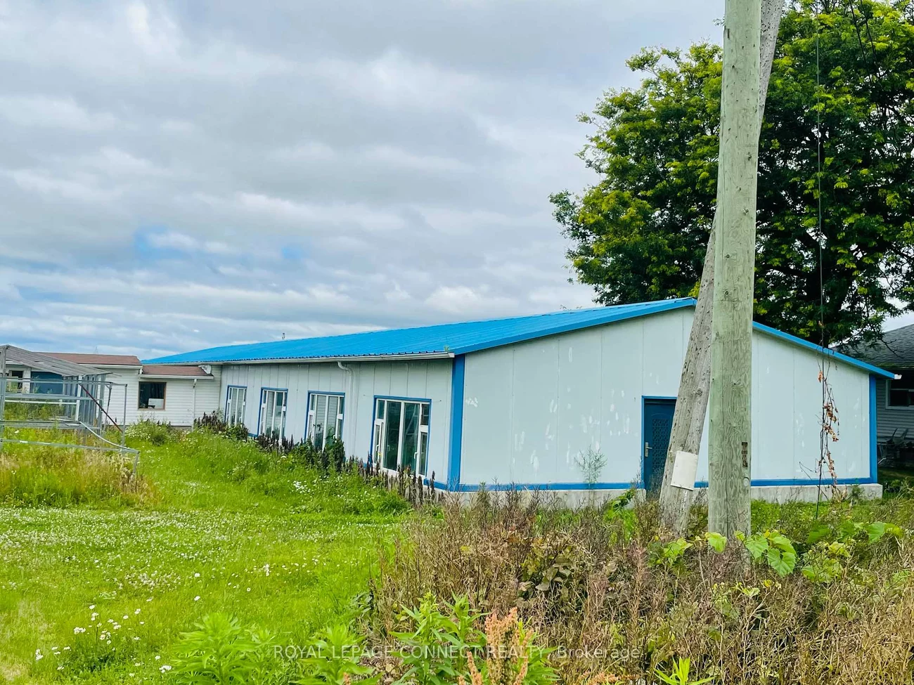 19470, Dufferin, Rural King, King