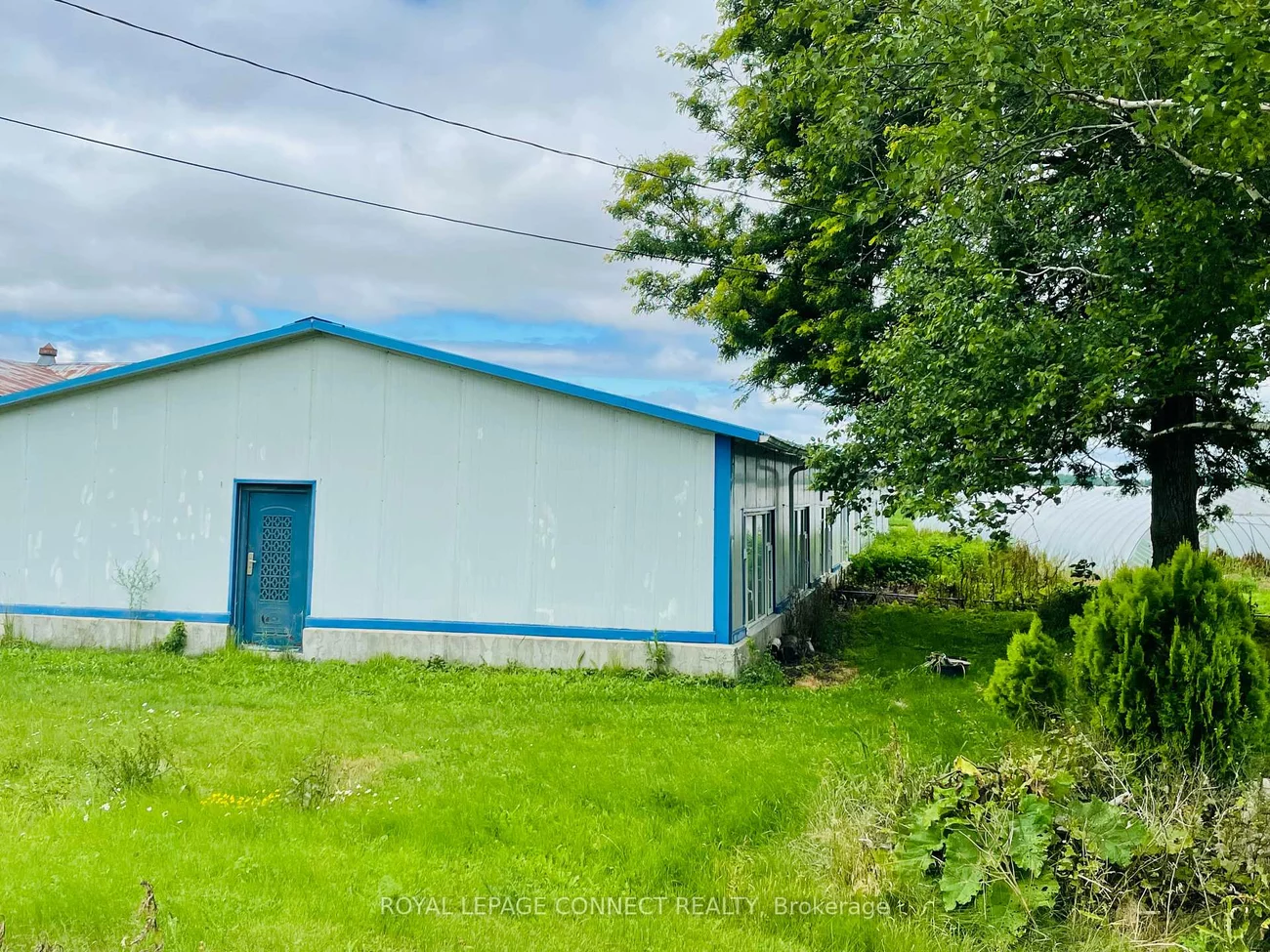 19470, Dufferin, Rural King, King