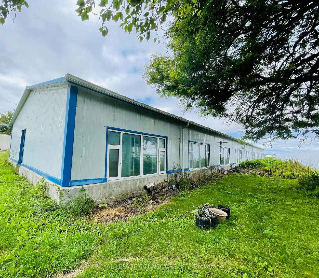 19470, Dufferin, Rural King, King
