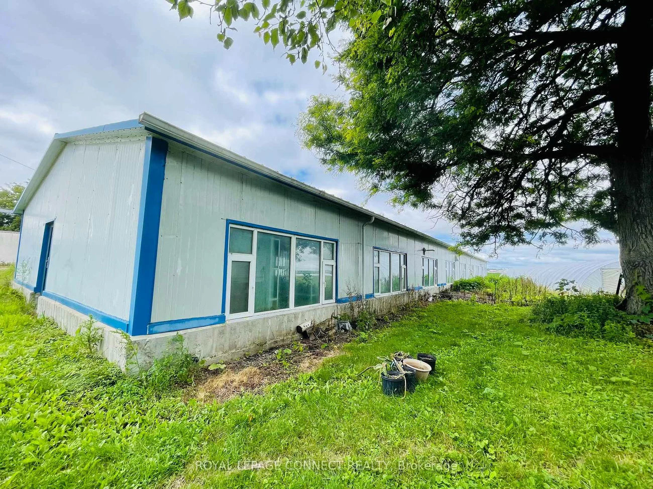 19470, Dufferin, Rural King, King
