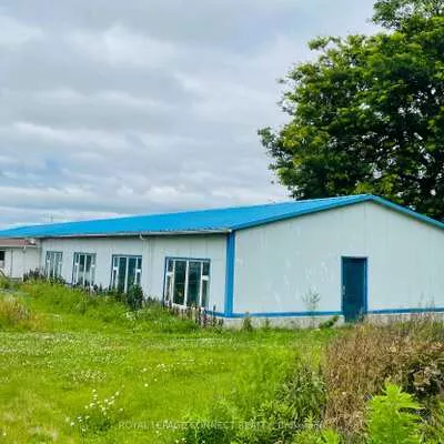 19470, Dufferin, Rural King, King