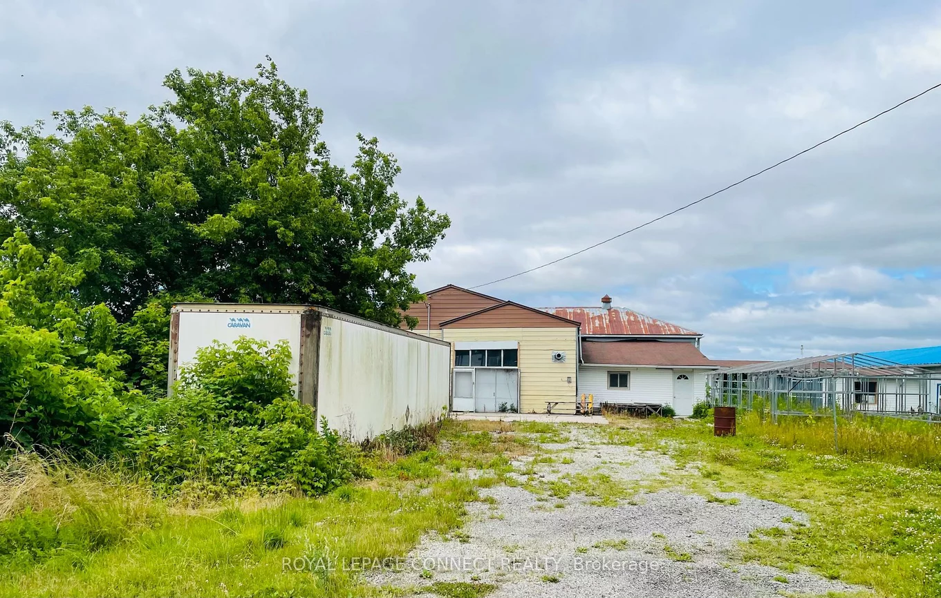 19470, Dufferin, Rural King, King