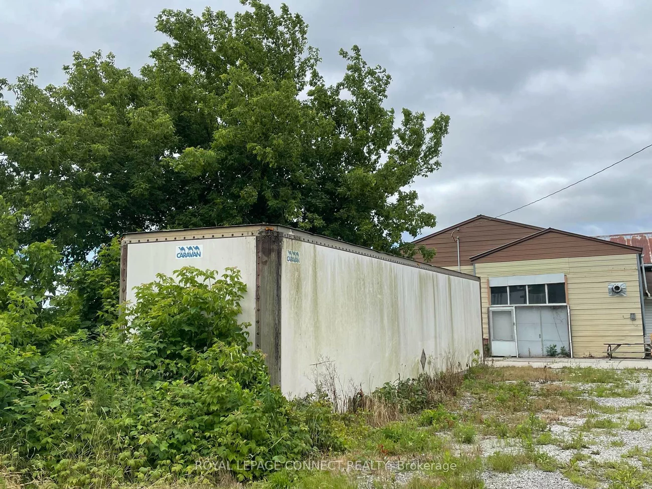 19470, Dufferin, Rural King, King