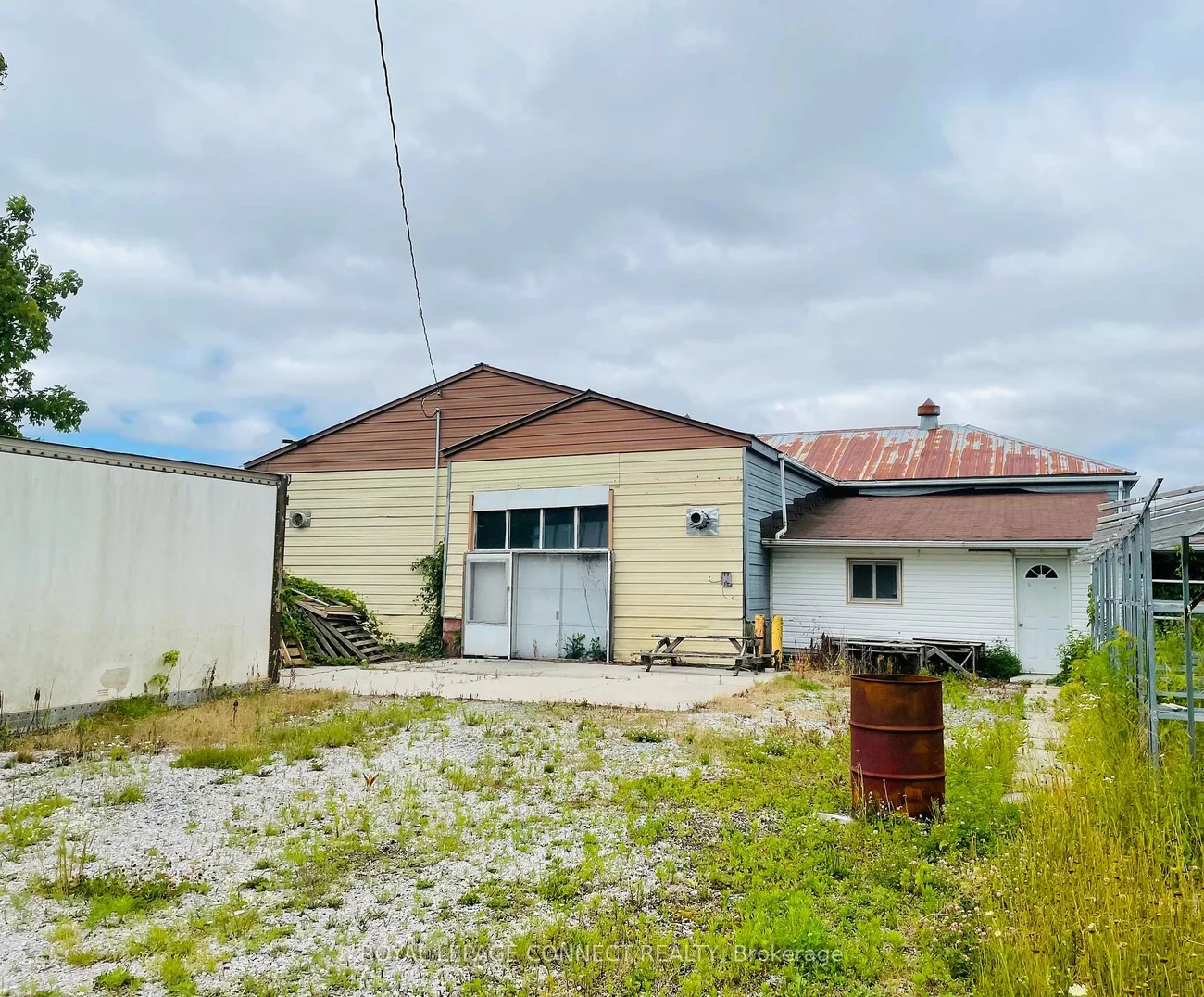 19470, Dufferin, Rural King, King