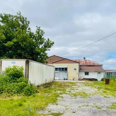 19470, Dufferin, Rural King, King