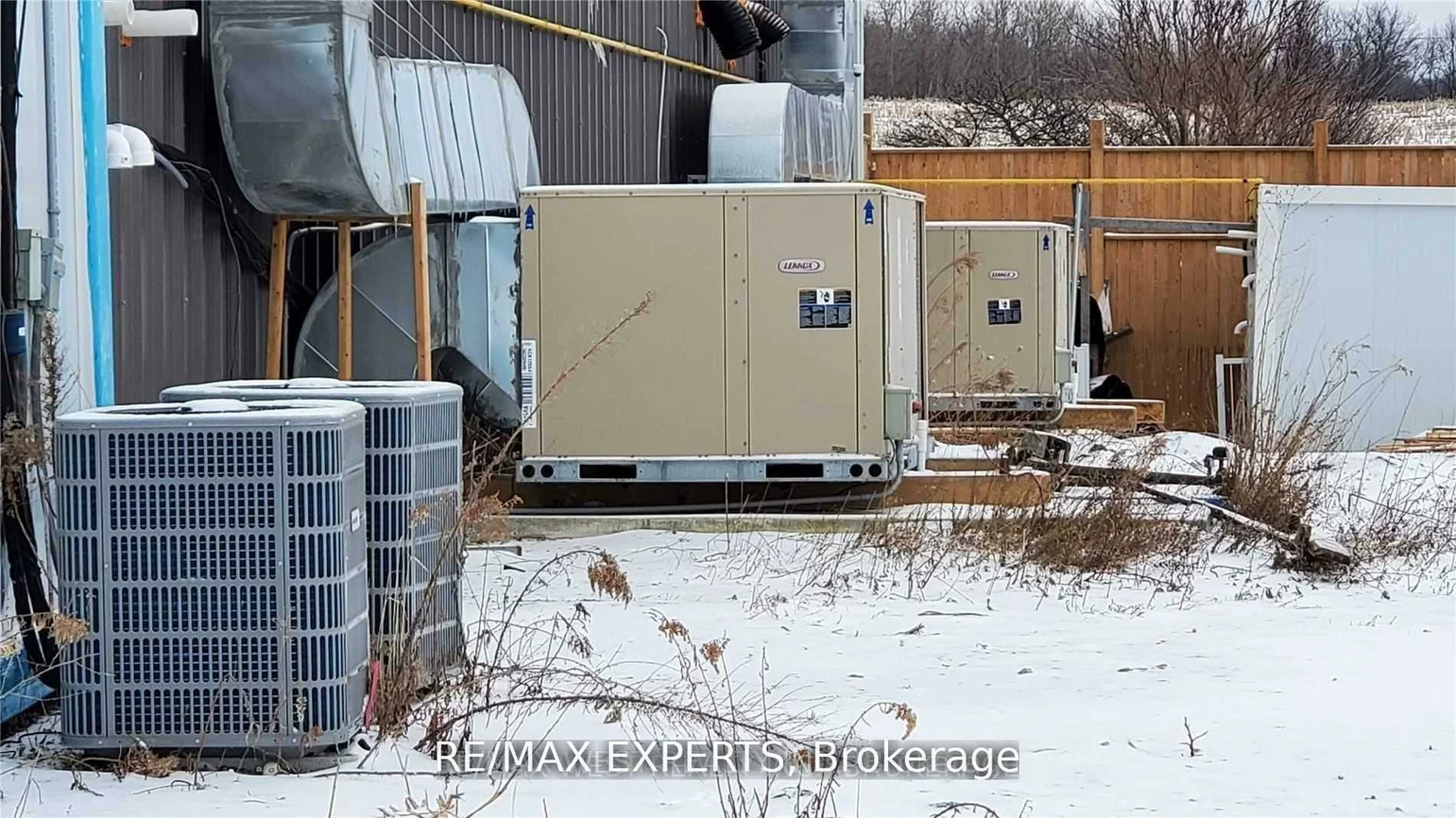 2000, DAVIS, Rural King, King