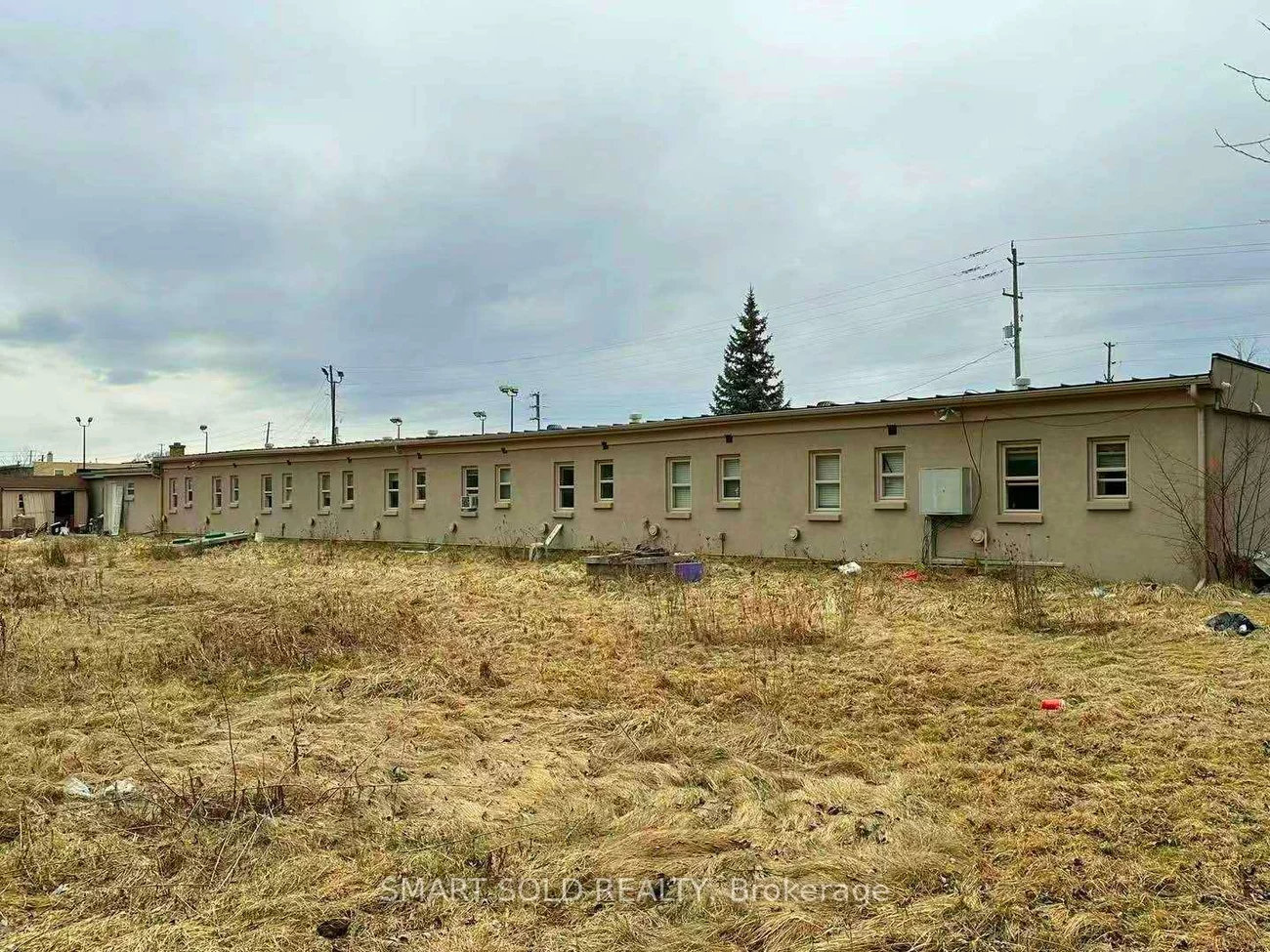 20590, Hwy 11, Rural King, King