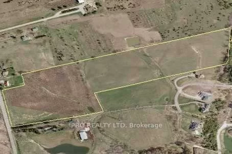 16555, Jane, Rural King, King