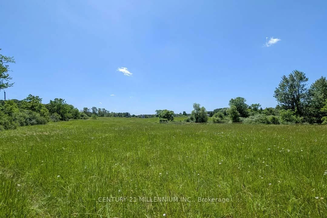 14420, 12th Concession, Rural King, King