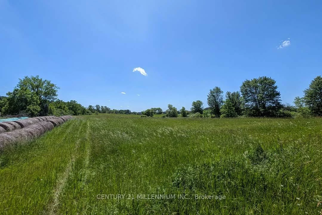 14420, 12th Concession, Rural King, King