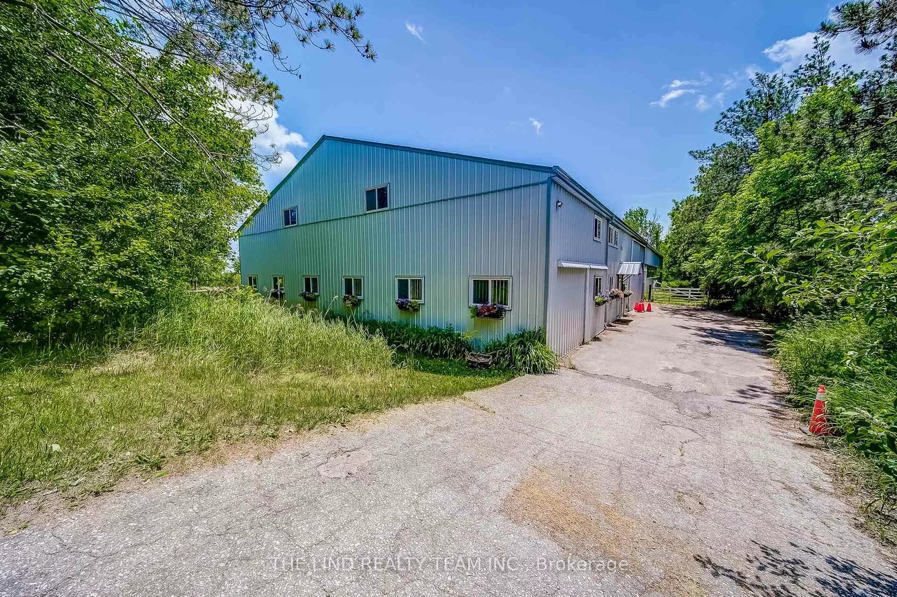 15809, Dufferin, Rural King, King