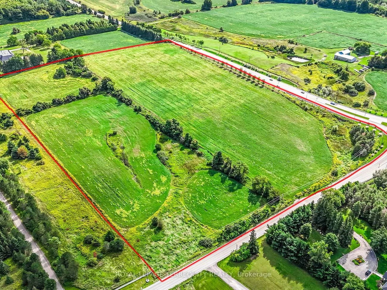 2200, Lloydtown-Aurora, Rural King, King