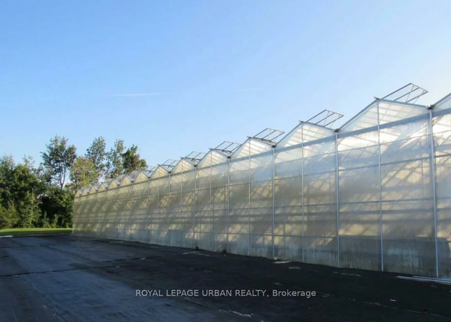 18509-18545, Keele, Rural King, King