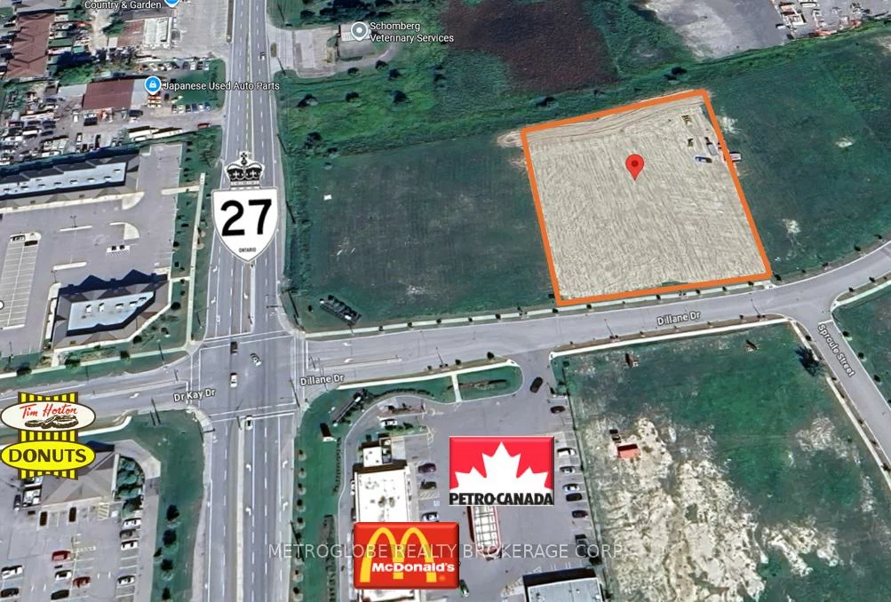 50, Dillane, Schomberg, King