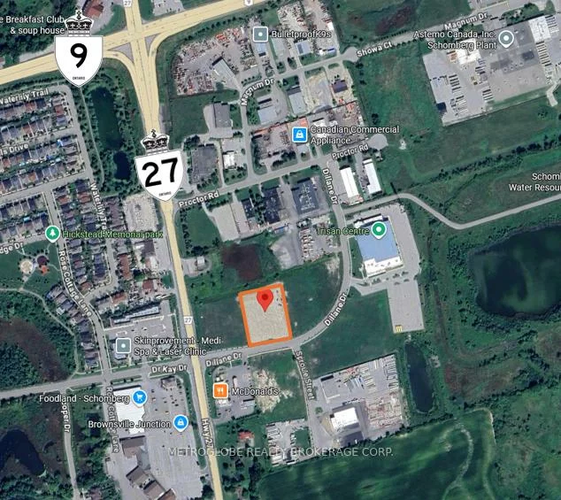 50, Dillane, Schomberg, King