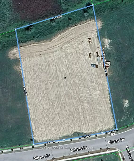 50, Dillane, Schomberg, King