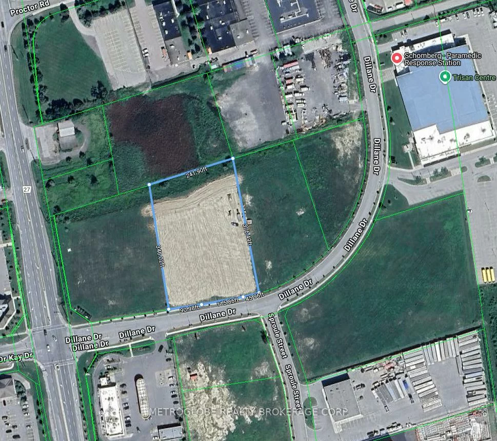 50, Dillane, Schomberg, King