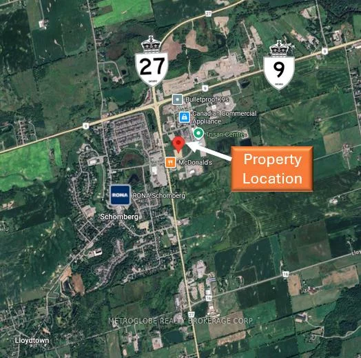 50, Dillane, Schomberg, King