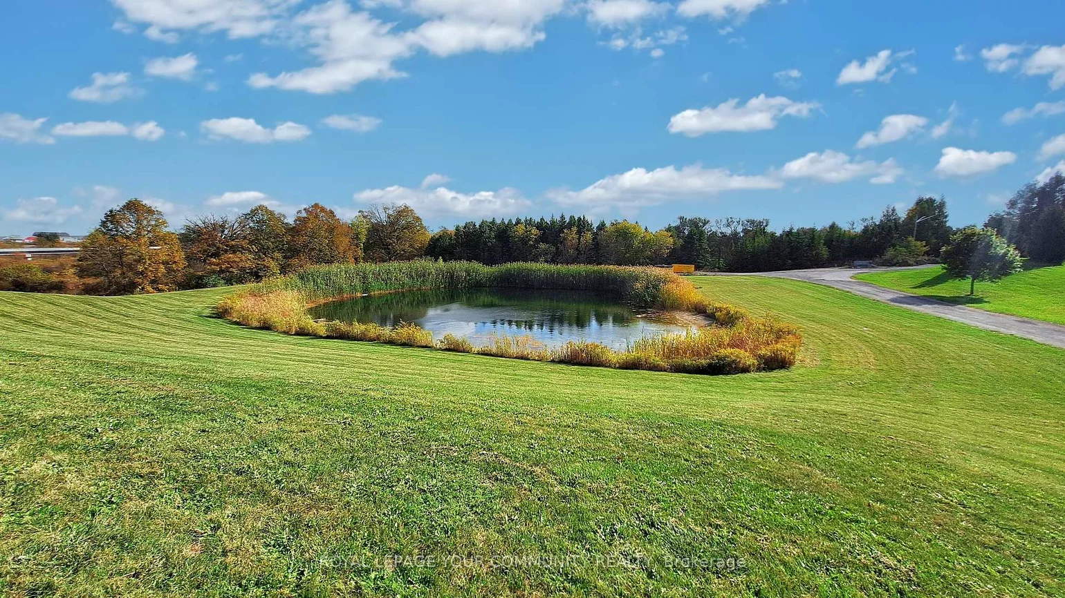 1065, 20th, Schomberg, King