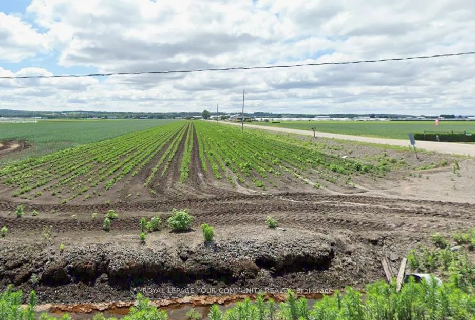 695, Strawberry, King City, King