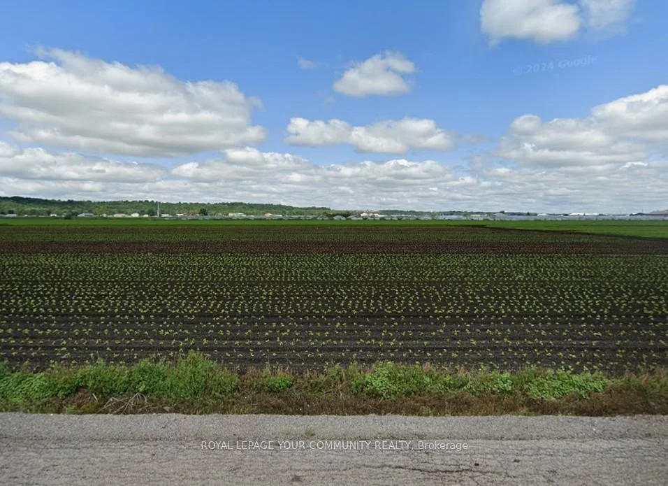 30, Aileen, Rural King, King